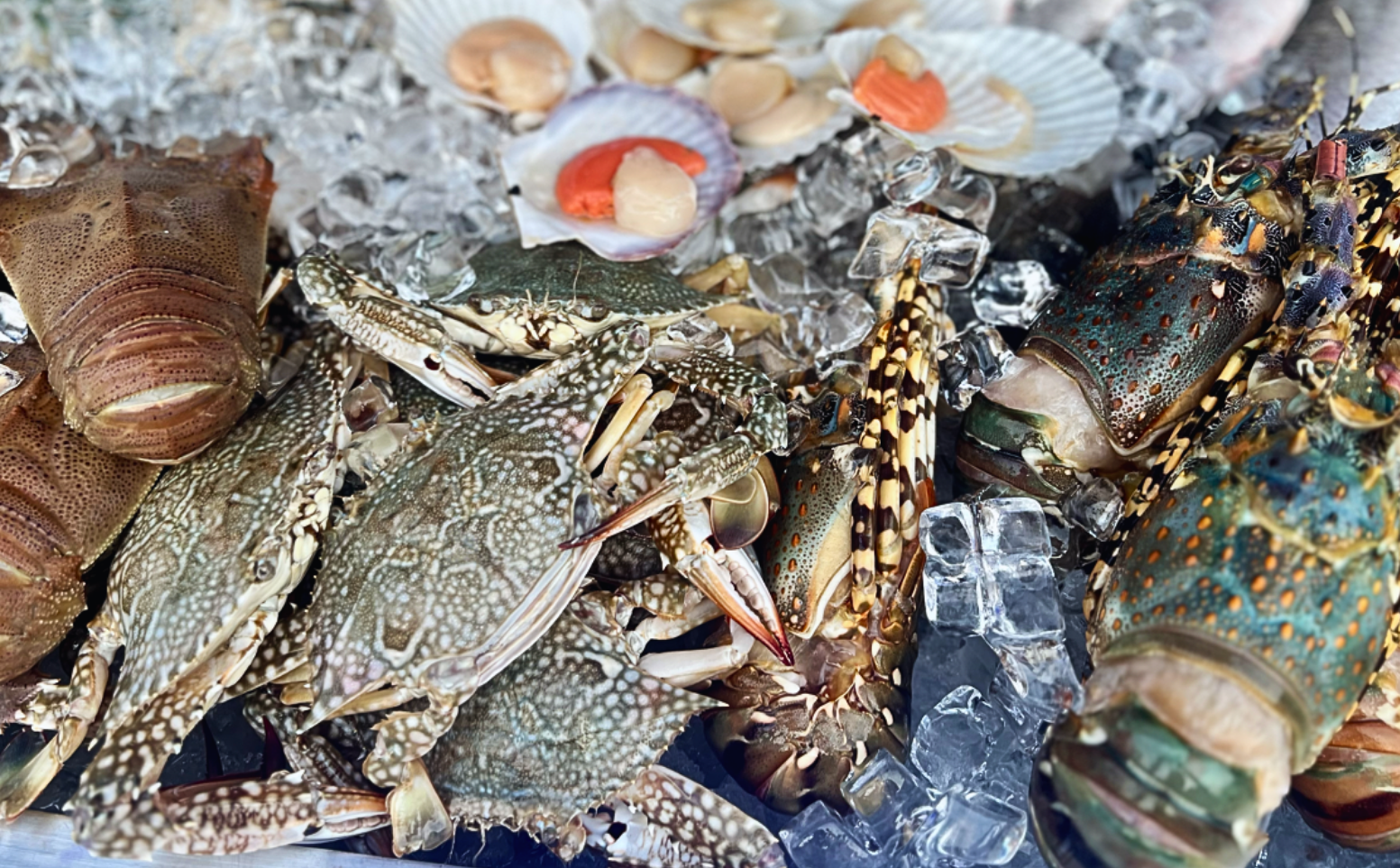 Seafood Market Restaurant